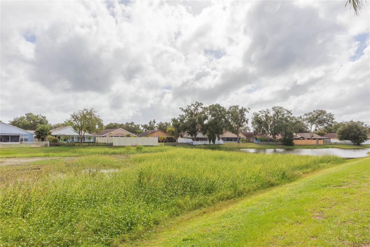 1770 Tinsmith Circle, Lutz, FL 33559 Photo