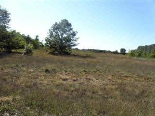 14 Trim Lake View Estates, New Era, MI 49446