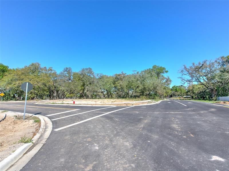 6011 County Road 579, Seffner, FL 33584 Photo