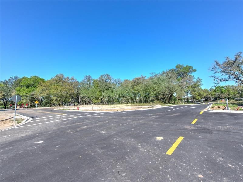 6011 County Road 579, Seffner, FL 33584 Photo