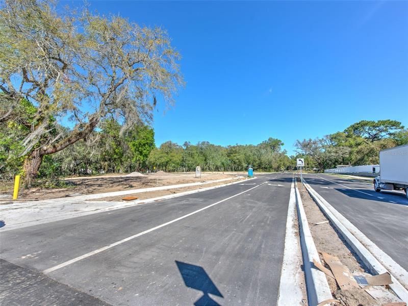 6011 County Road 579, Seffner, FL 33584 Photo