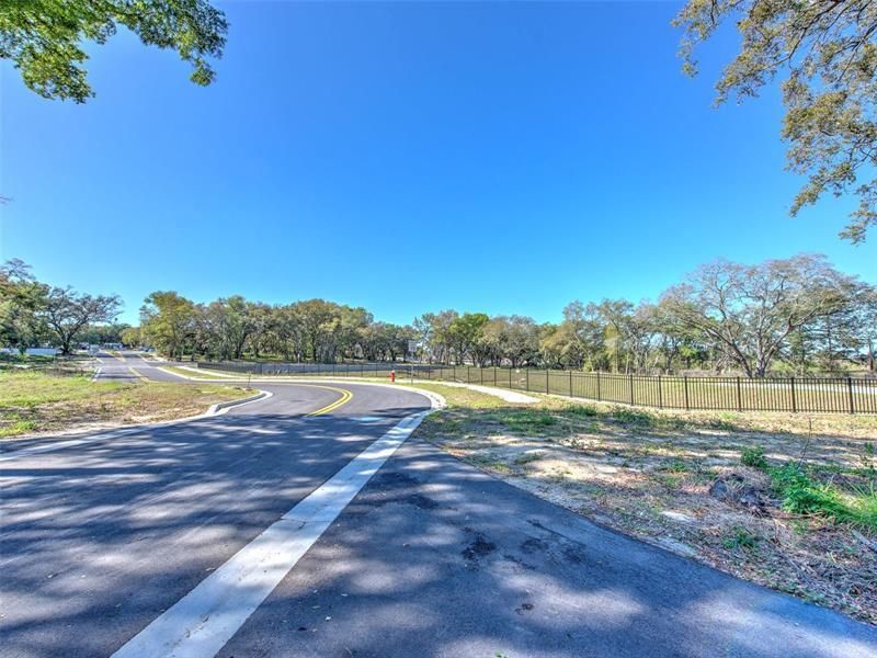 6011 County Road 579, Seffner, FL 33584 Photo