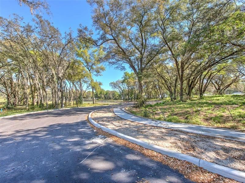 6011 County Road 579, Seffner, FL 33584 Photo