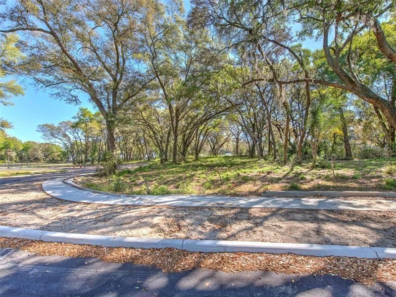 6011 County Road 579, Seffner, FL 33584 Photo