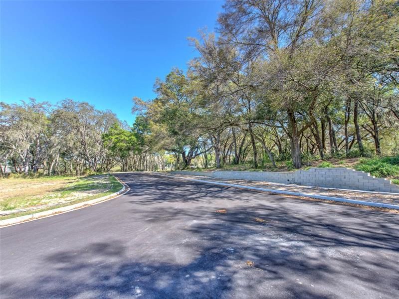 6011 County Road 579, Seffner, FL 33584 Photo