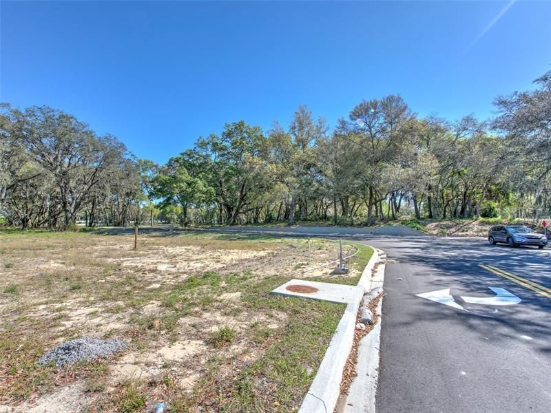 6011 County Road 579, Seffner, FL 33584 Photo