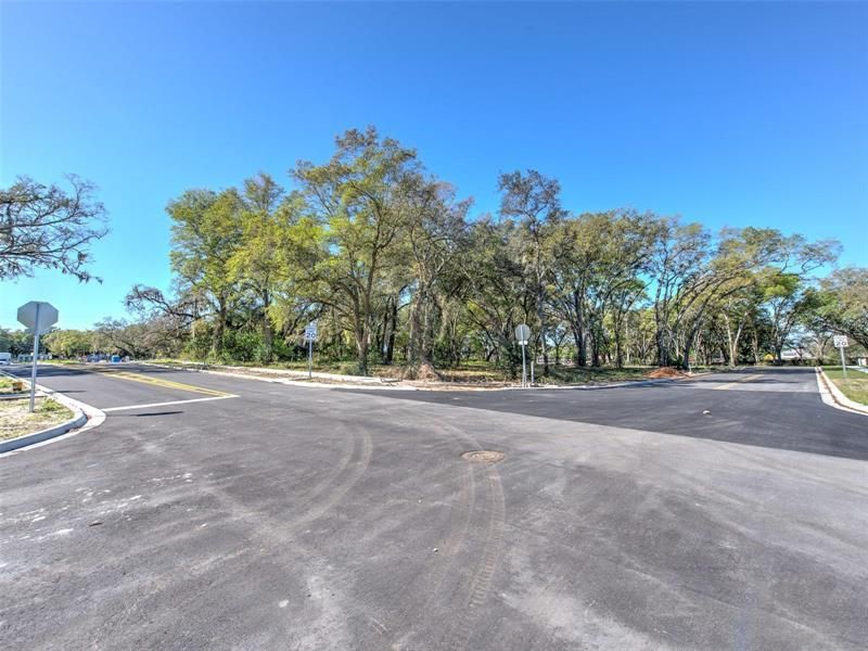 6011 County Road 579, Seffner, FL 33584 Photo