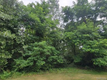 Lot 21 - Rexford Court, Hamburg Twp, MI 48116