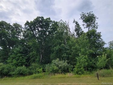 Lot 14 - 5972 Wyndam Lane, Hamburg Township, Mi 48116