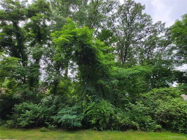 Lot 41 - Pinemont, Hamburg Twp, MI 48116