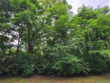 Lot 43 - Pinemont, Hamburg Twp, MI 48116