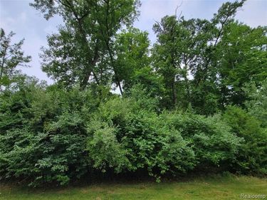 Lot 53 - Pinemont, Hamburg Twp, MI 48116