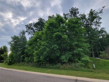 Lot 55 - Wyndam Lane, Hamburg Twp, MI 48116