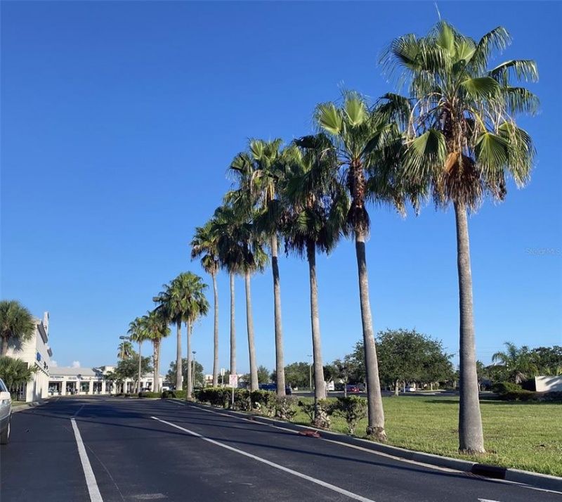 1125,1127,1131 Bal Harbor Boulevard, Unit 1125, Punta Gorda, FL 33950 Photo