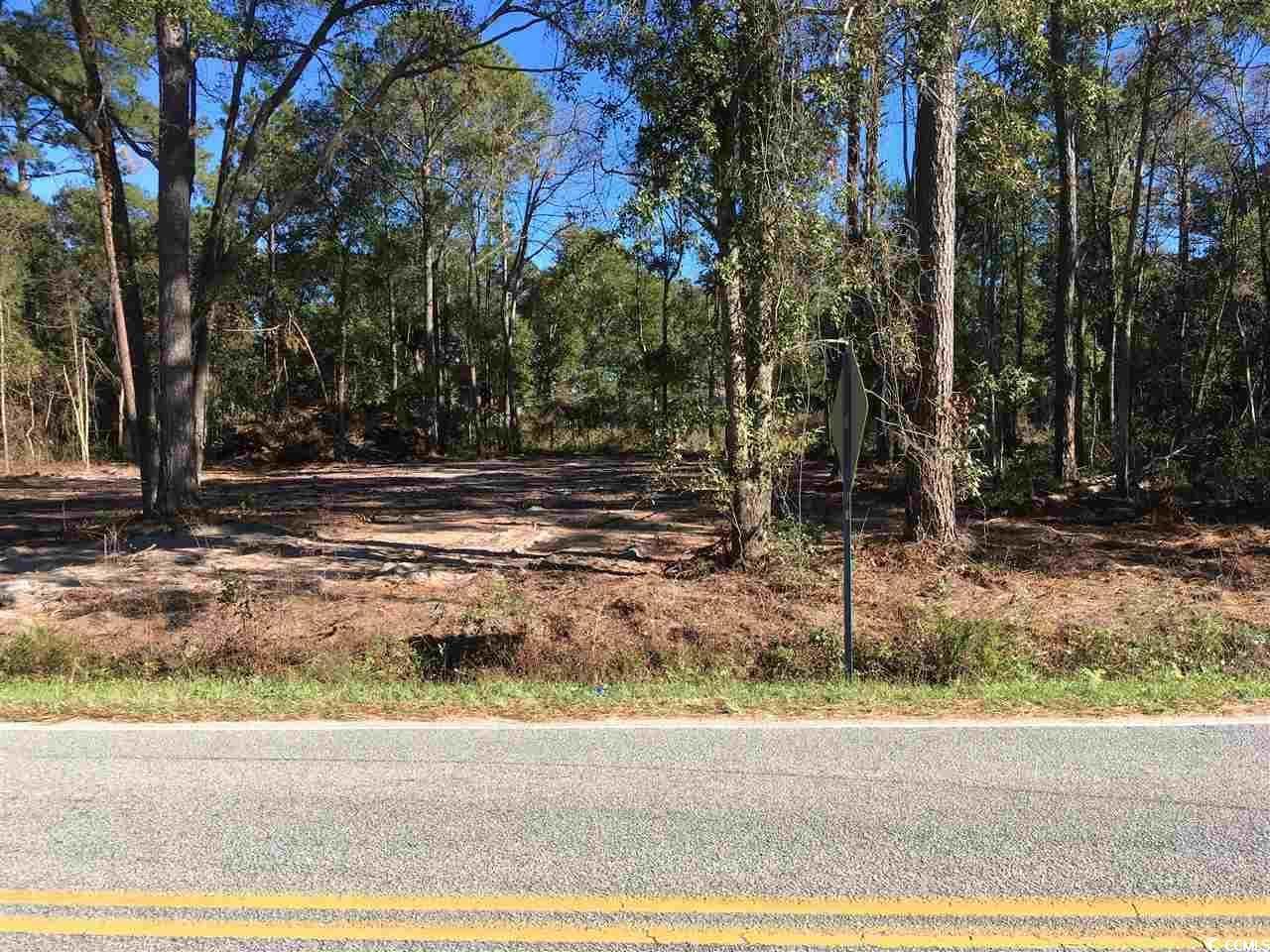 00 Petigru Dr. Photo 1