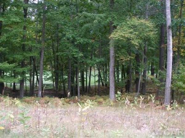 9615 Aberdeen Court, Unit 29, Canadian Lakes, MI 49346