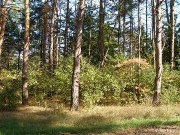 10412 Mountain View Trail, Unit 378, Canadian Lakes, MI 49346