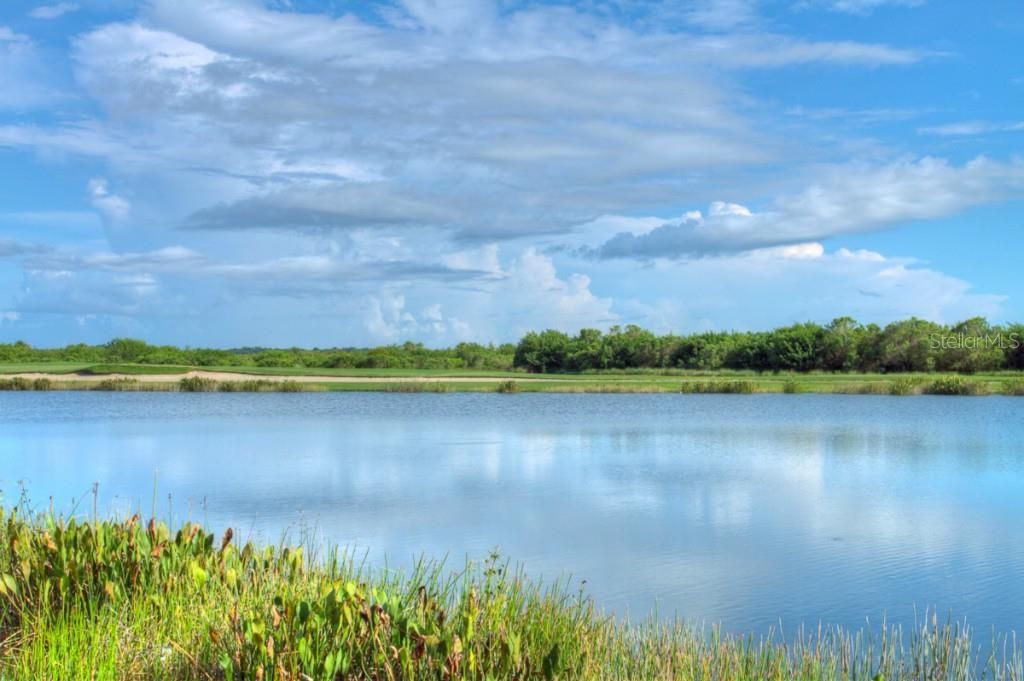 7305 River Hammock Drive, Unit 206, Bradenton, FL 34212 Photo