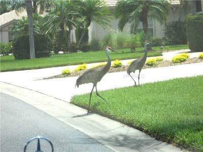 8911 Veranda Way, Unit 222, Sarasota, FL 34238 Photo