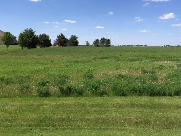 17402 Wildflower Circle, Union, IL 60180