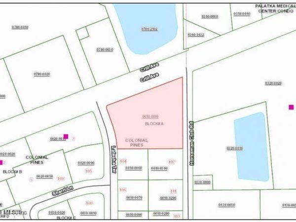 7069 CRILL Avenue, Palatka, FL 32177