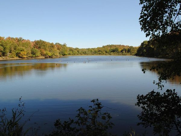 Mount Vernon, AR 72111