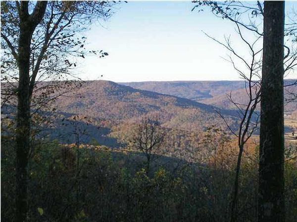 3425 JACKSON POINT Road, TN 37380