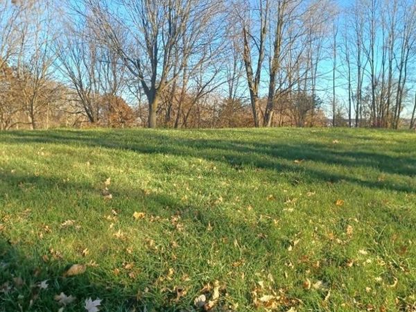 Lot 13 N PINE Street, Davenport, IA 52804