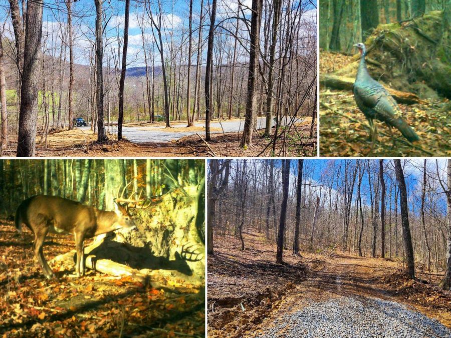 0 Pike Lake Rd Road , Unit (Tract 1 P, Bainbridge, OH 45612 Photo 1