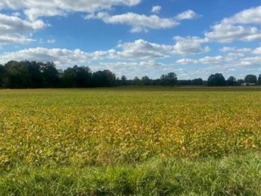 Warwick Road, Marshallville, OH 44645 Photo 1