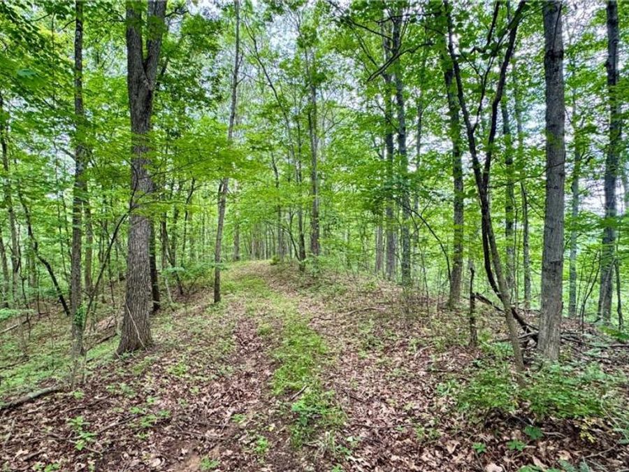 Noble Hill Rd , Pleasant City, OH 43772 Photo 1