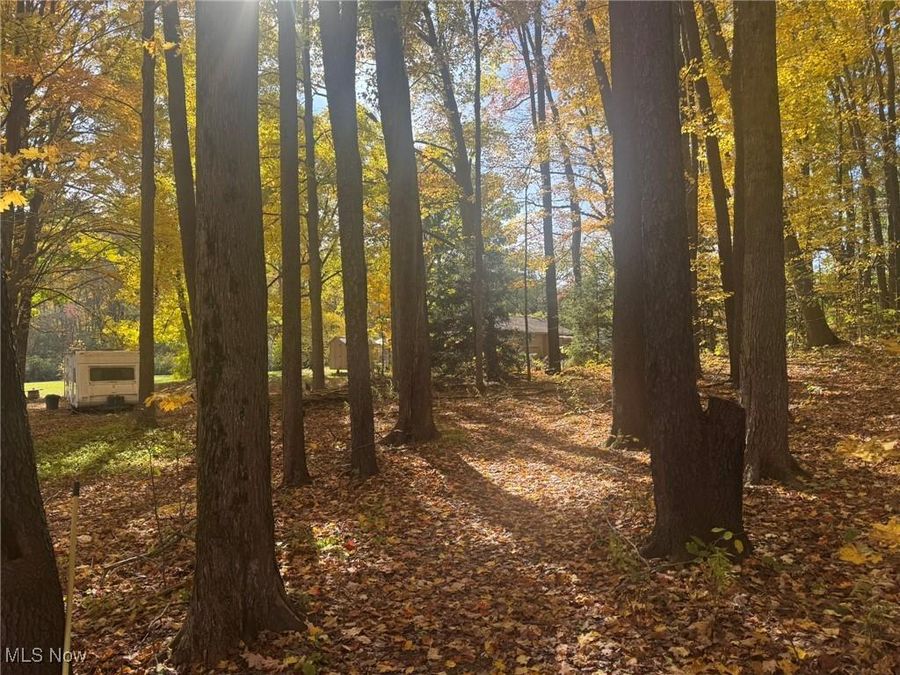 Infirmary Road , Mantua, OH 44255 Photo 1