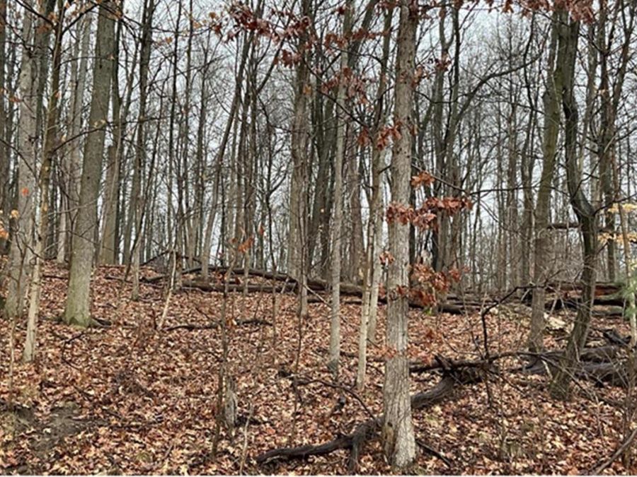 0 Headleys Mill Road SW, Unit 5 acres, Pataskala, OH 43062 Photo 1