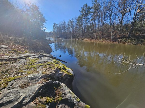 242 Ranger Creek Road, Coalmont 37313