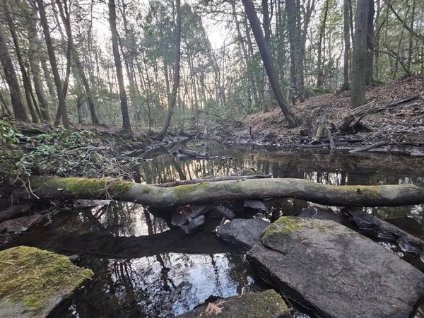 100 Clendenon Road, Spencer 38585