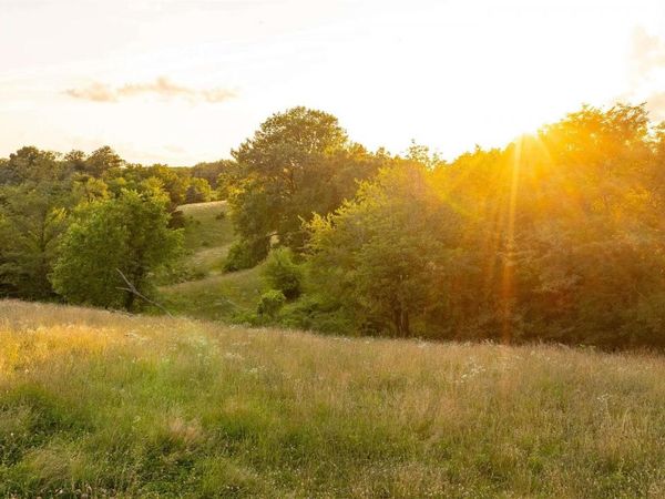 00 Hwy T61, Unionville, IA 52594