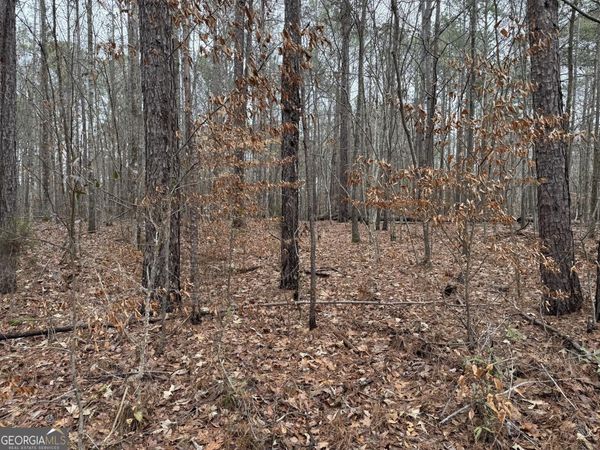 0 Thomas Drive, Eatonton, GA 31024