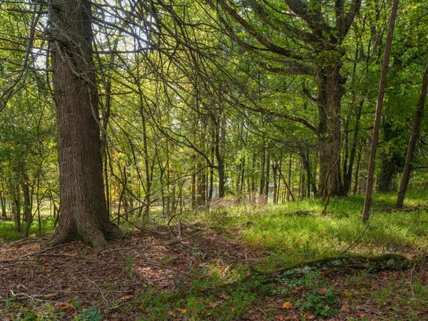 0 Payne Chapel Road, Lookout Mountain 30750