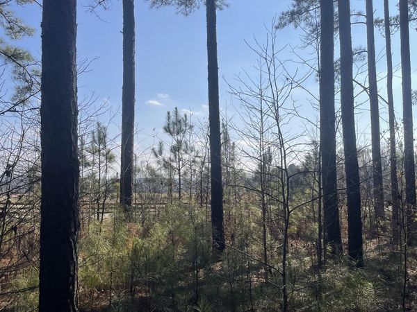 0 Hebron Church Road, Unit 1, Thomaston, GA 30286