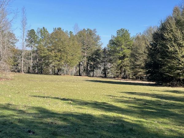 529 Sand Bottom Road, Peterman, AL 36471