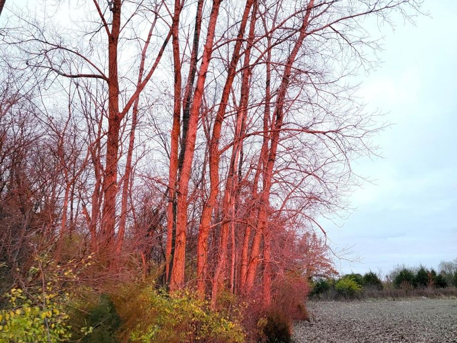 414 W Sparrow Road, Springfield, OH 45502 Photo 1