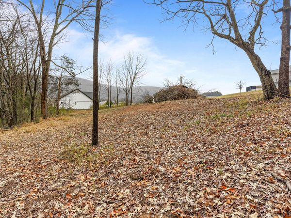 0 Scenic Hollow Drive, Dunlap 37327