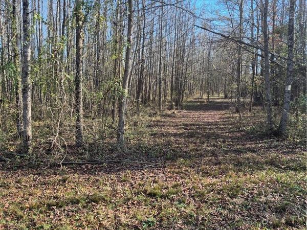 10169 Rebel Lane , Danville, AR 72833