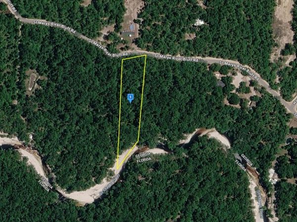 1801 St Marys River Bluff Road, St. George, GA 31562
