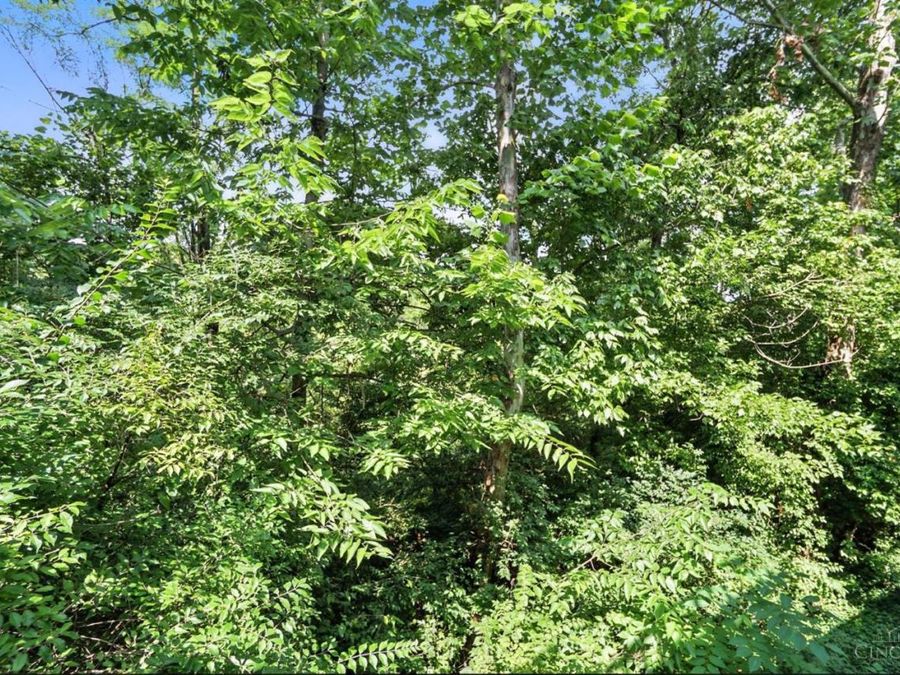 7212 Creekview Drive, Unit 6, Colerain Township, OH 45247 Photo 45