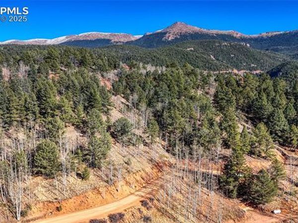 741 Pikes Peak Drive, Divide, CO 80814