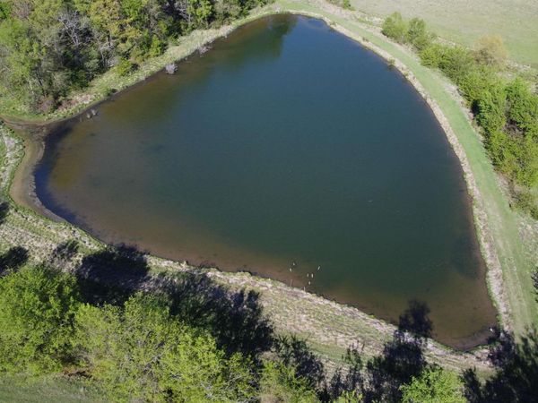 1910 Blackland , Oil Trough, AR 72564