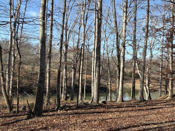 133 Shelton Cemetery Road, Cumberland Furnace 37051