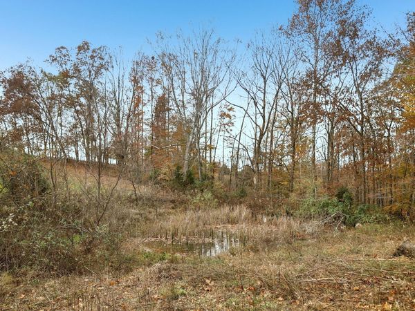 1575 Wixtown Rd , Westmoreland, TN 37186