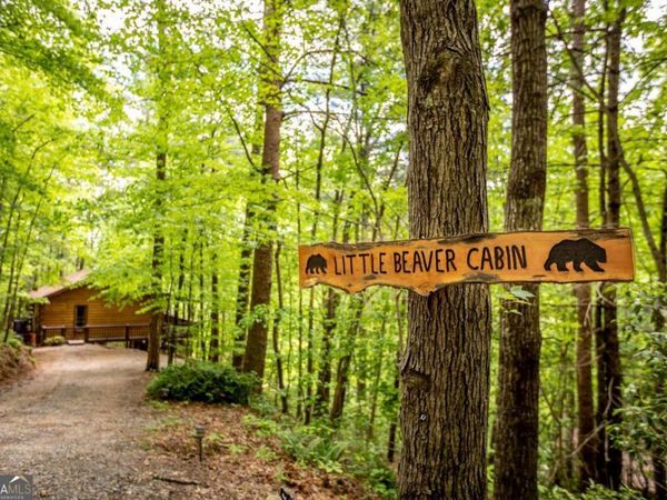 137 Little Beaver Drive, Cherry Log, GA 30522